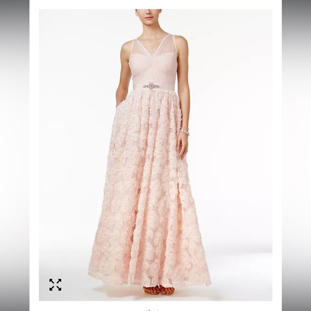Adrianna Papell Gown in pink